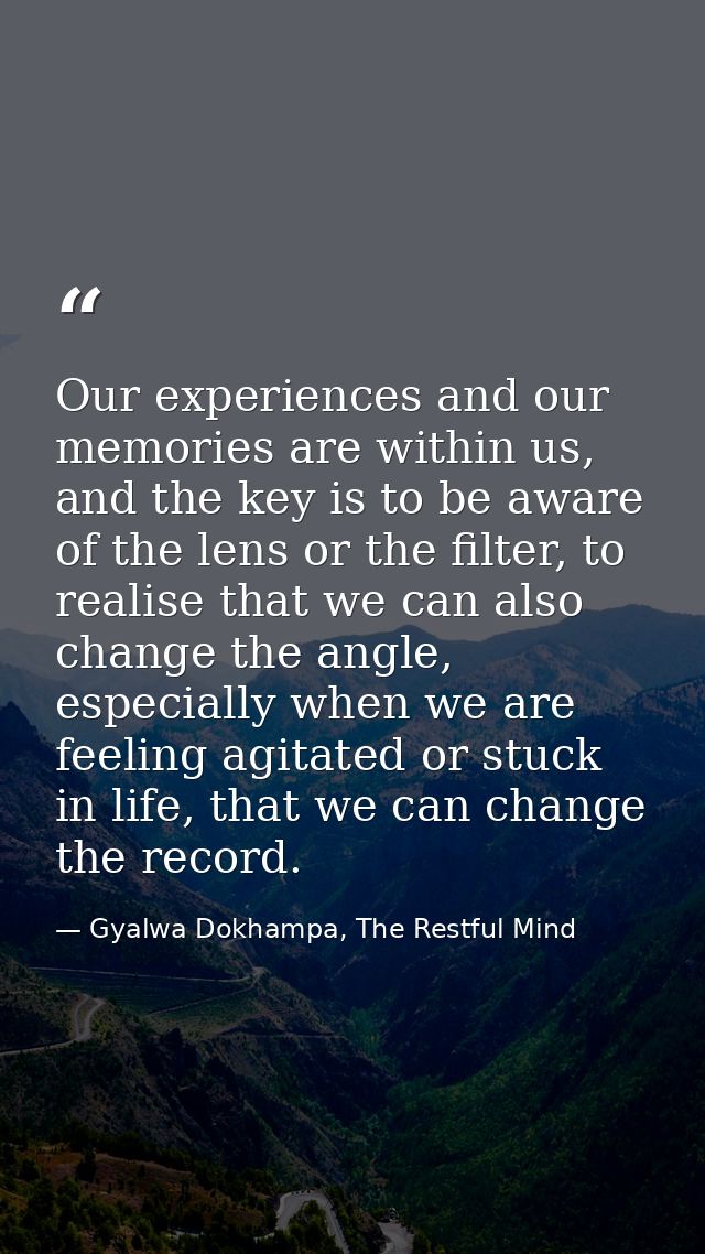 Our experiences and our memories are within us, and the key is to be aware of the lens or the filter, to realise that we — Gyalwa Dokhampa, The Restful Mind