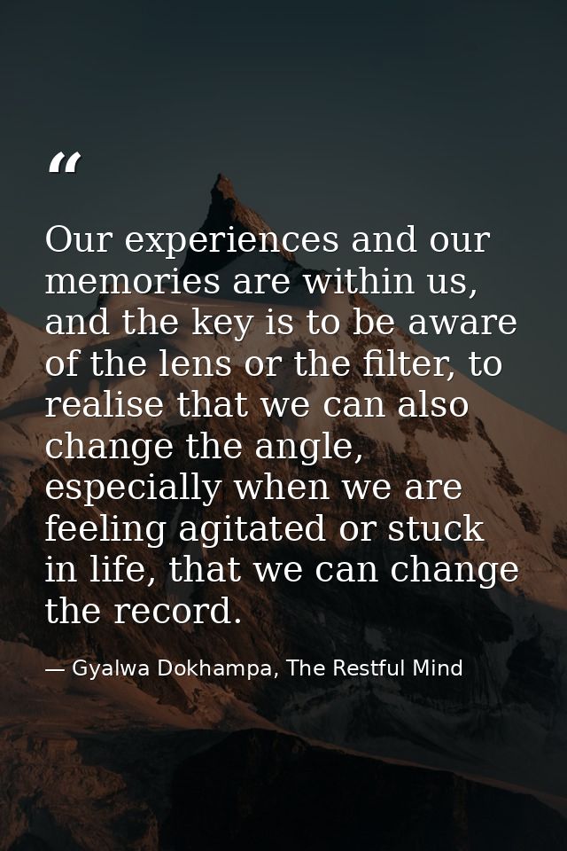 Our experiences and our memories are within us, and the key is to be aware of the lens or the filter, to realise that we — Gyalwa Dokhampa, The Restful Mind