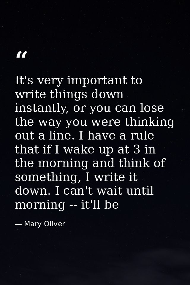 It's very important to write things down instantly, or you can lose the way you were thinking out a line. I have a rule  — Mary Oliver