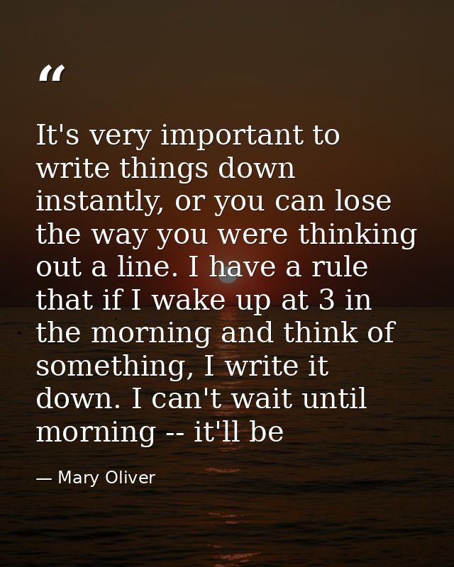 It's very important to write things down instantly, or you can lose the way you were thinking out a line. I have a rule  — Mary Oliver