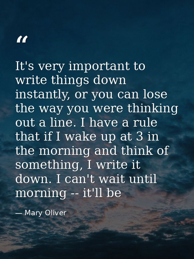 It's very important to write things down instantly, or you can lose the way you were thinking out a line. I have a rule  — Mary Oliver