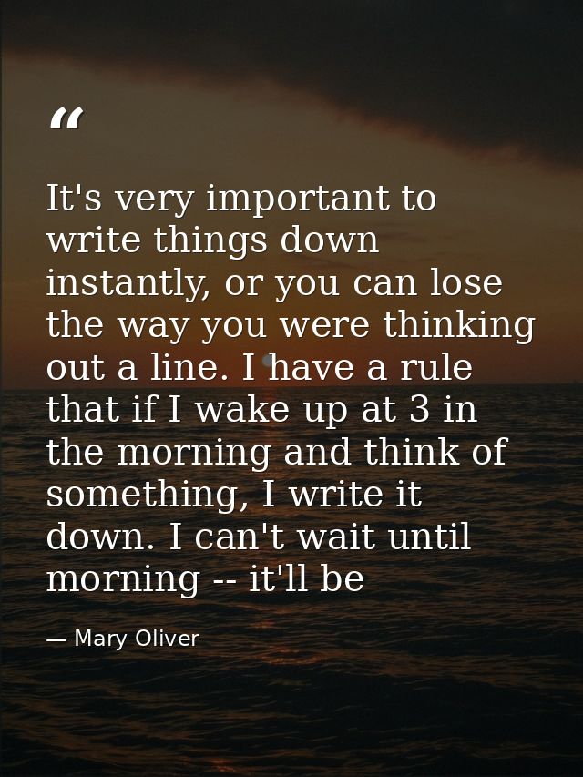 It's very important to write things down instantly, or you can lose the way you were thinking out a line. I have a rule  — Mary Oliver