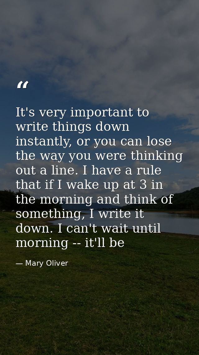 It's very important to write things down instantly, or you can lose the way you were thinking out a line. I have a rule  — Mary Oliver