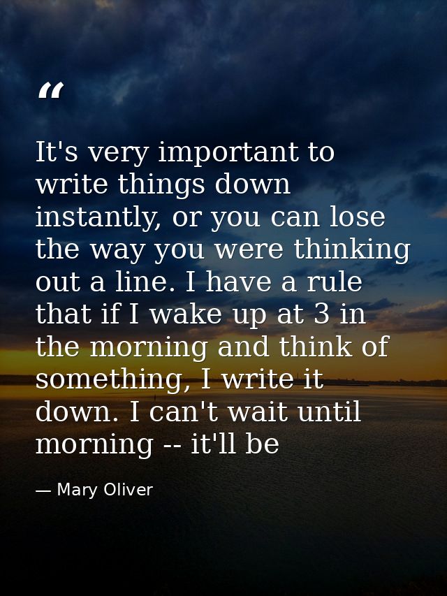 It's very important to write things down instantly, or you can lose the way you were thinking out a line. I have a rule  — Mary Oliver