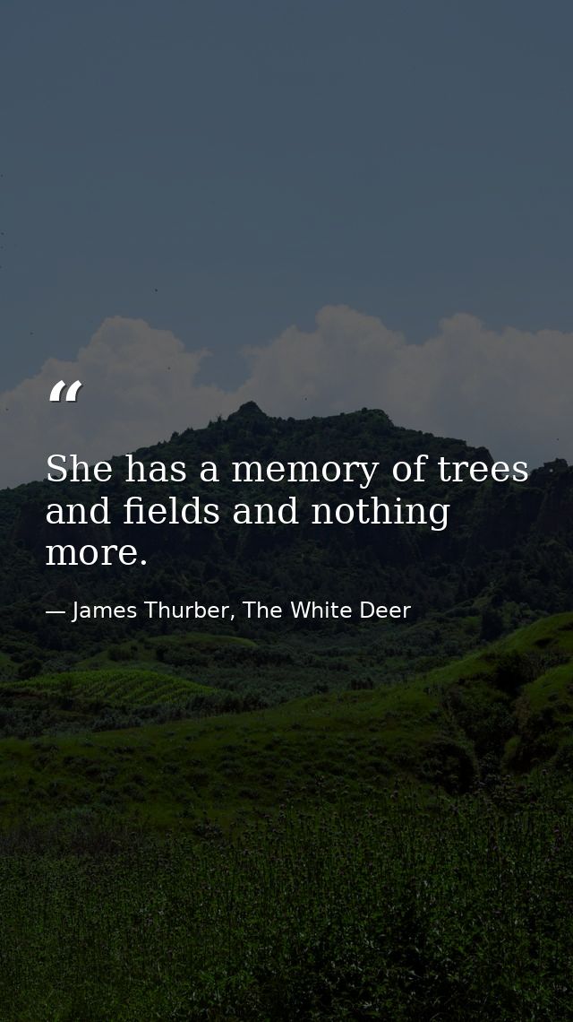 She has a memory of trees and fields and nothing more. — James Thurber, The White Deer
