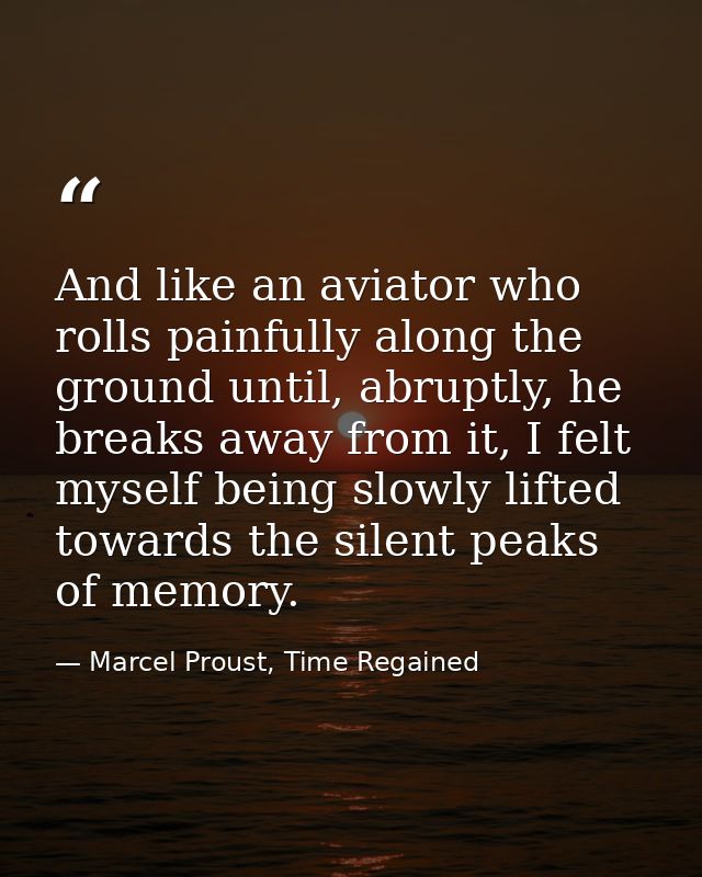 And like an aviator who rolls painfully along the ground until, abruptly, he breaks away from it, I felt myself being sl — Marcel Proust, Time Regained