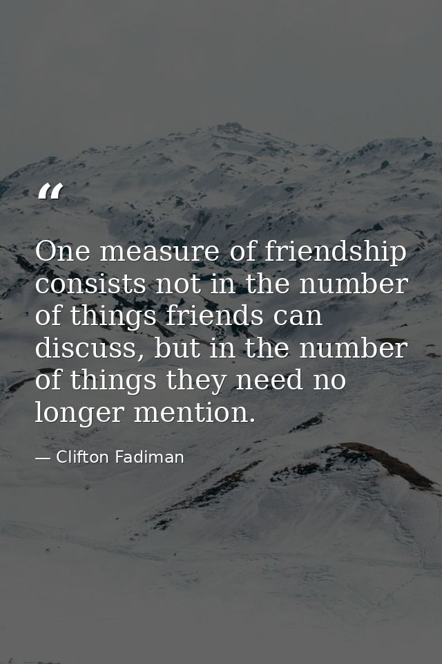 One measure of friendship consists not in the number of things friends can discuss, but in the number of things they nee — Clifton Fadiman