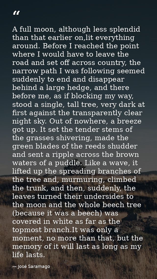 A full moon, although less splendid than that earlier on,lit everything around. Before I reached the point where I would — José Saramago