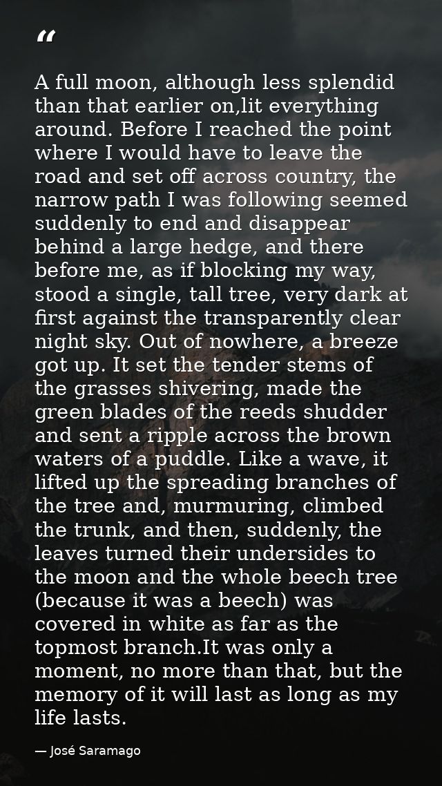 A full moon, although less splendid than that earlier on,lit everything around. Before I reached the point where I would — José Saramago