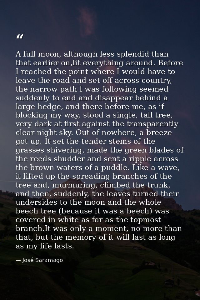A full moon, although less splendid than that earlier on,lit everything around. Before I reached the point where I would — José Saramago