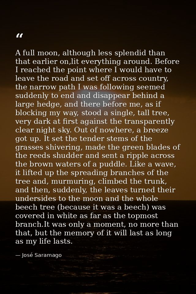 A full moon, although less splendid than that earlier on,lit everything around. Before I reached the point where I would — José Saramago