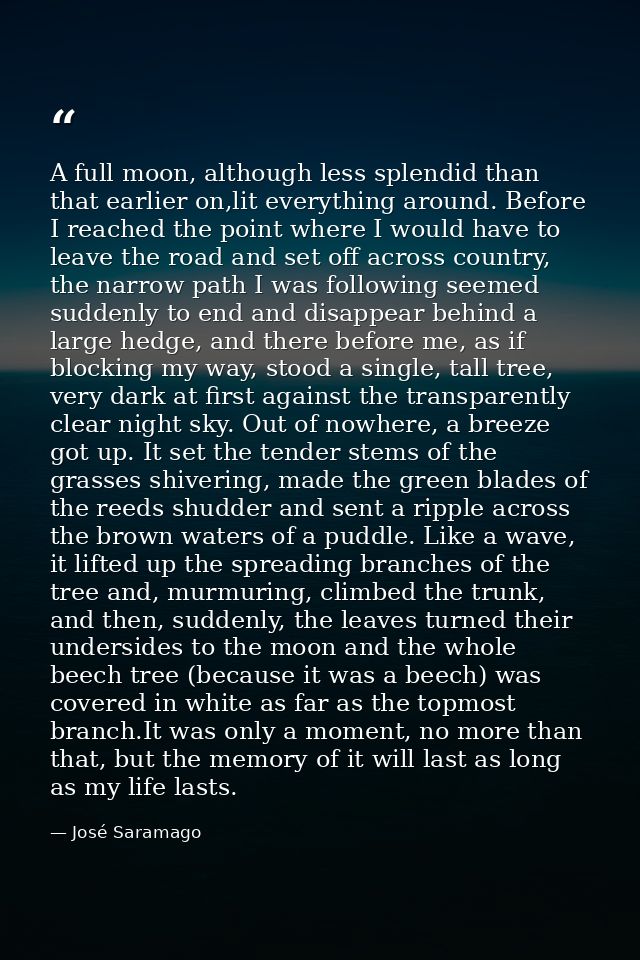 A full moon, although less splendid than that earlier on,lit everything around. Before I reached the point where I would — José Saramago