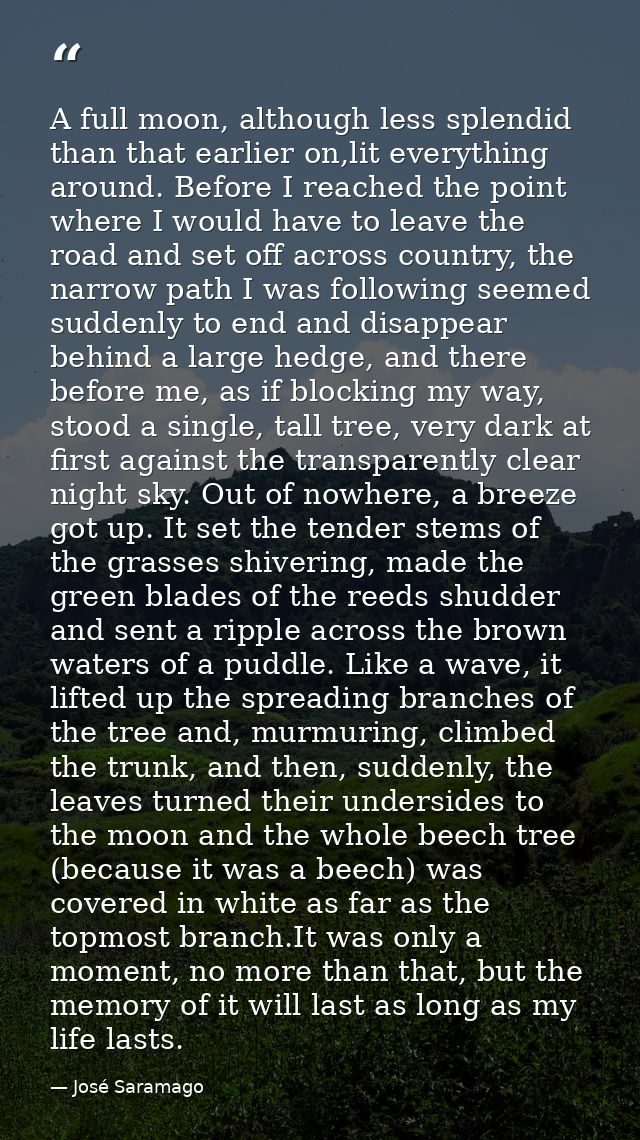 A full moon, although less splendid than that earlier on,lit everything around. Before I reached the point where I would — José Saramago