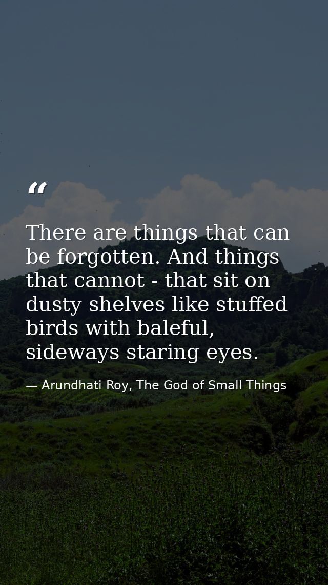 There are things that can be forgotten. And things that cannot - that sit on dusty shelves like stuffed birds with balef — Arundhati Roy, The God of Small Things