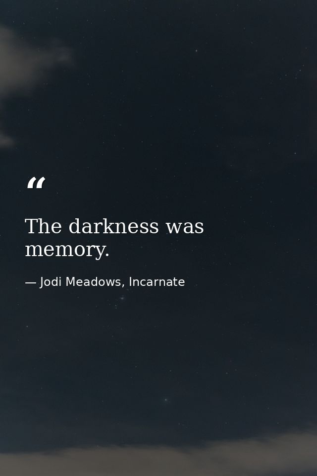 The darkness was memory. — Jodi Meadows, Incarnate