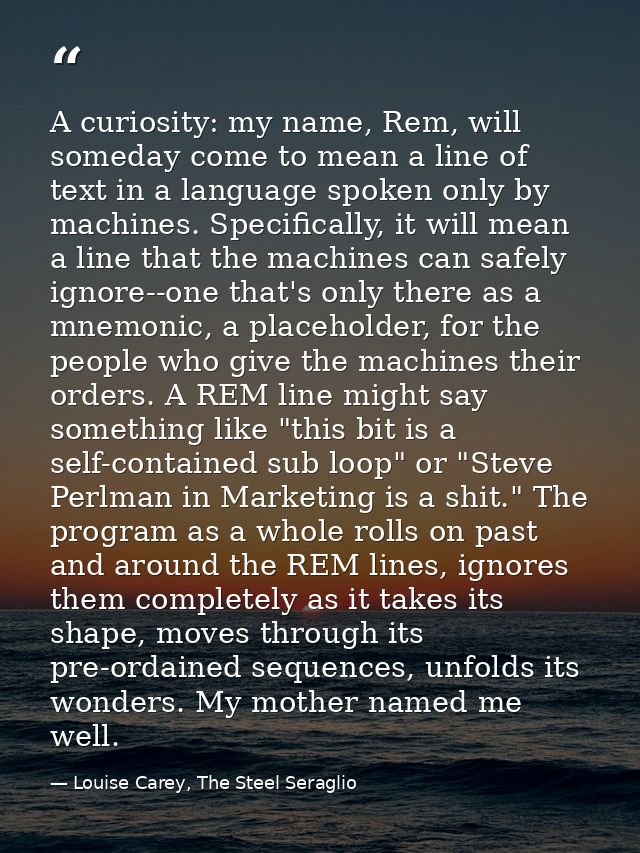 A curiosity: my name, Rem, will someday come to mean a line of text in a language spoken only by machines. Specifically, — Louise Carey, The Steel Seraglio