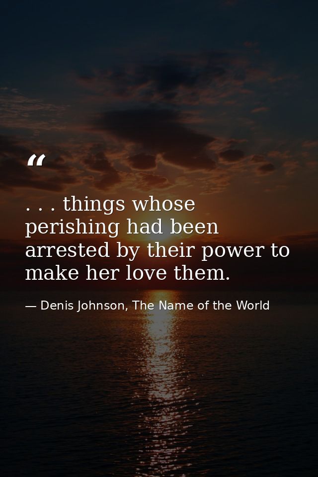 . . . things whose perishing had been arrested by their power to make her love them. — Denis Johnson, The Name of the World