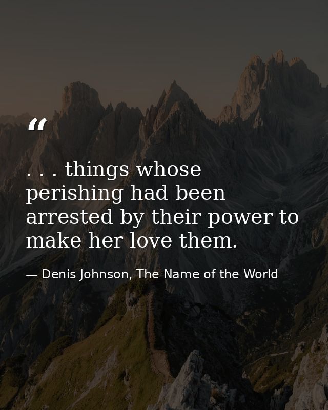. . . things whose perishing had been arrested by their power to make her love them. — Denis Johnson, The Name of the World