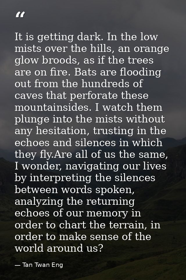 It is getting dark. In the low mists over the hills, an orange glow broods, as if the trees are on fire. Bats are floodi — Tan Twan Eng