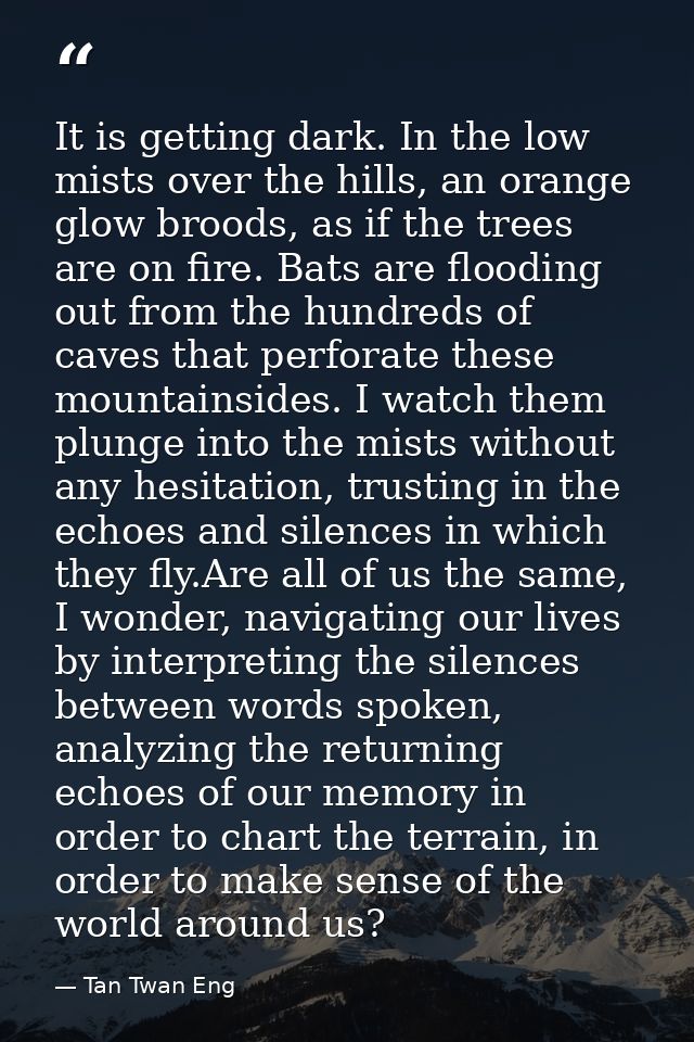 It is getting dark. In the low mists over the hills, an orange glow broods, as if the trees are on fire. Bats are floodi — Tan Twan Eng