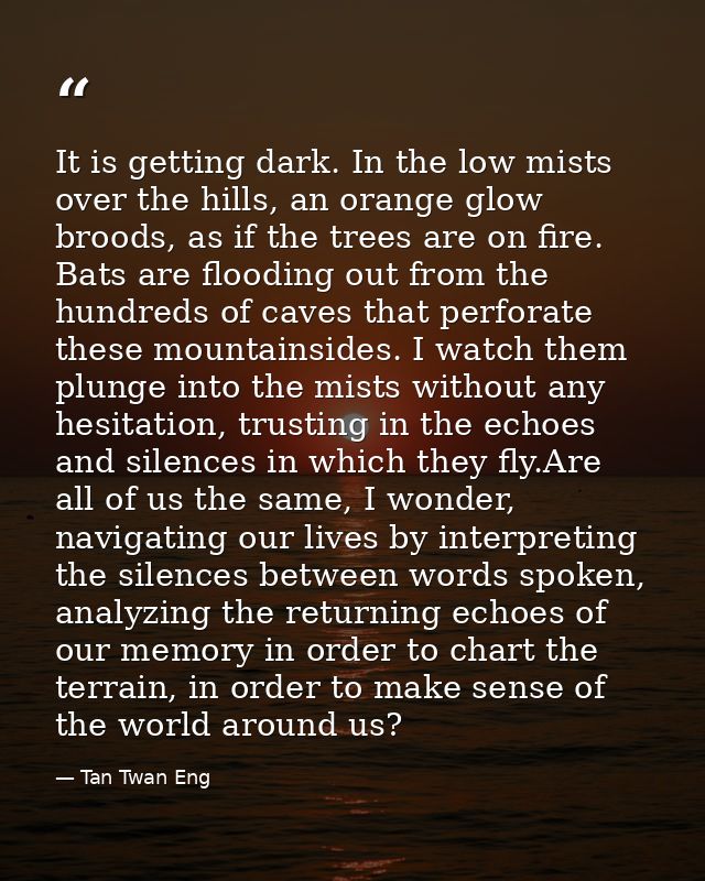 It is getting dark. In the low mists over the hills, an orange glow broods, as if the trees are on fire. Bats are floodi — Tan Twan Eng