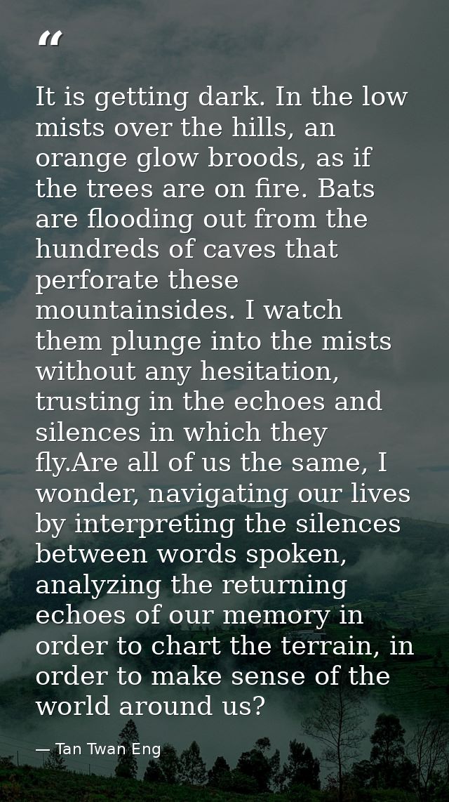 It is getting dark. In the low mists over the hills, an orange glow broods, as if the trees are on fire. Bats are floodi — Tan Twan Eng