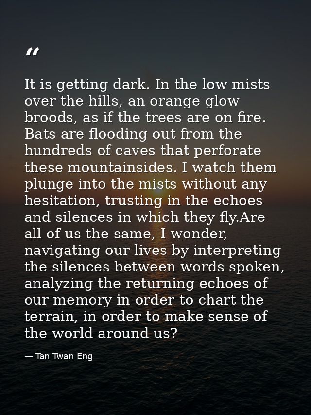 It is getting dark. In the low mists over the hills, an orange glow broods, as if the trees are on fire. Bats are floodi — Tan Twan Eng