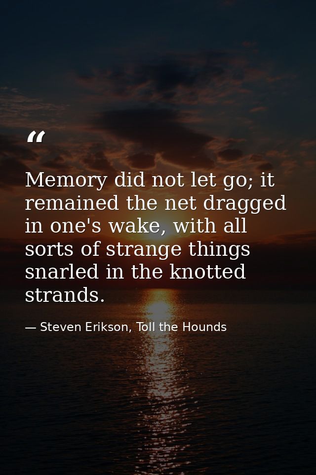 Memory did not let go; it remained the net dragged in one's wake, with all sorts of strange things snarled in the knotte — Steven Erikson, Toll the Hounds