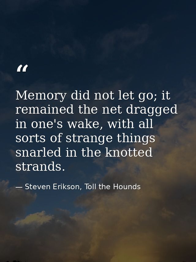 Memory did not let go; it remained the net dragged in one's wake, with all sorts of strange things snarled in the knotte — Steven Erikson, Toll the Hounds