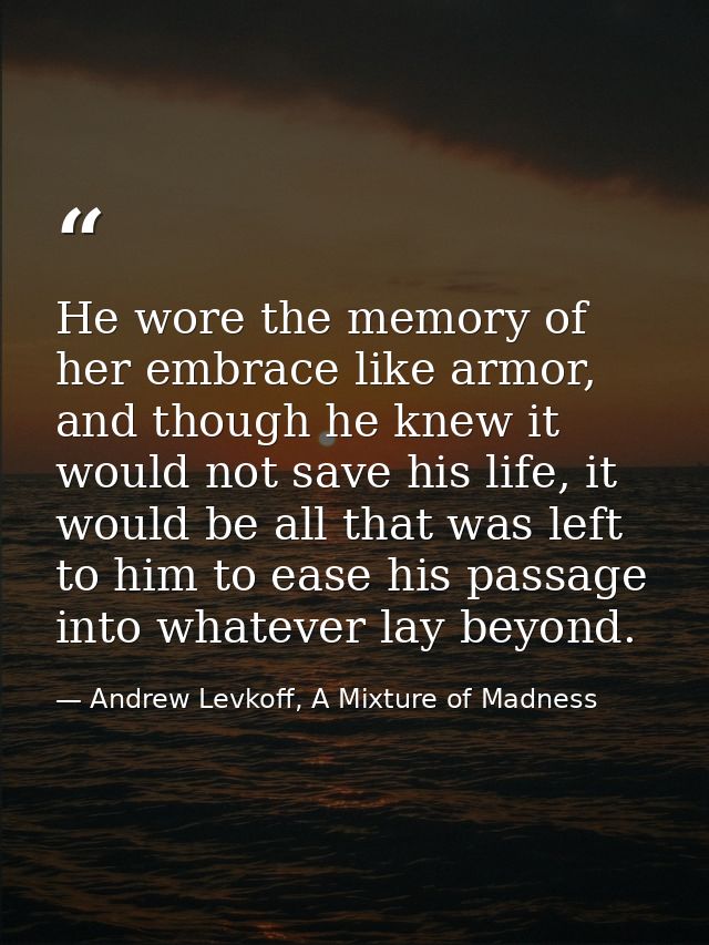 He wore the memory of her embrace like armor, and though he knew it would not save his life, it would be all that was le — Andrew Levkoff, A Mixture of Madness