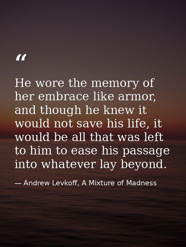 He wore the memory of her embrace like armor, and though he knew it would not save his life, it would be all that was le — Andrew Levkoff, A Mixture of Madness