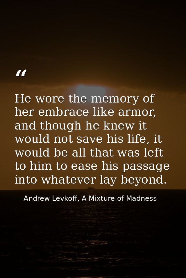 He wore the memory of her embrace like armor, and though he knew it would not save his life, it would be all that was le — Andrew Levkoff, A Mixture of Madness