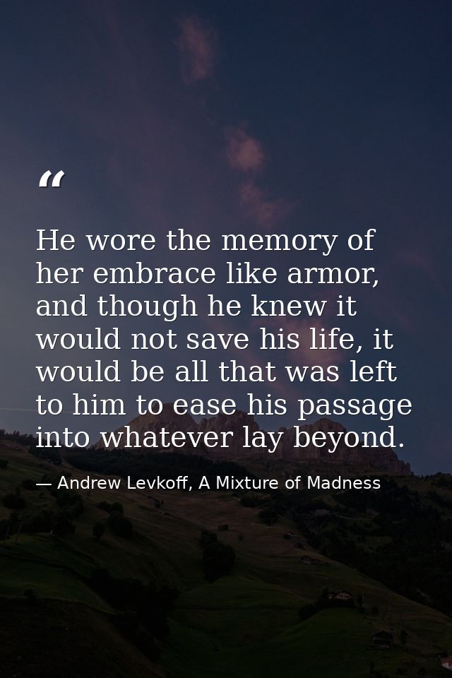 He wore the memory of her embrace like armor, and though he knew it would not save his life, it would be all that was le — Andrew Levkoff, A Mixture of Madness