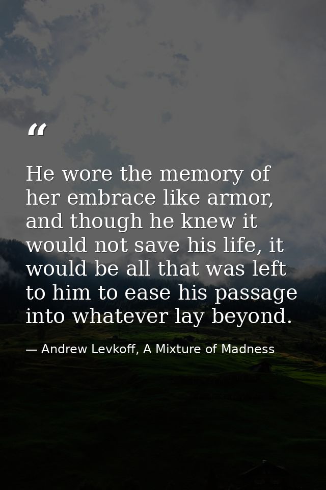 He wore the memory of her embrace like armor, and though he knew it would not save his life, it would be all that was le — Andrew Levkoff, A Mixture of Madness