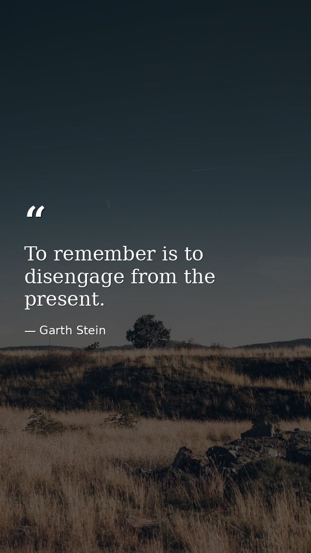 To remember is to disengage from the present. — Garth Stein