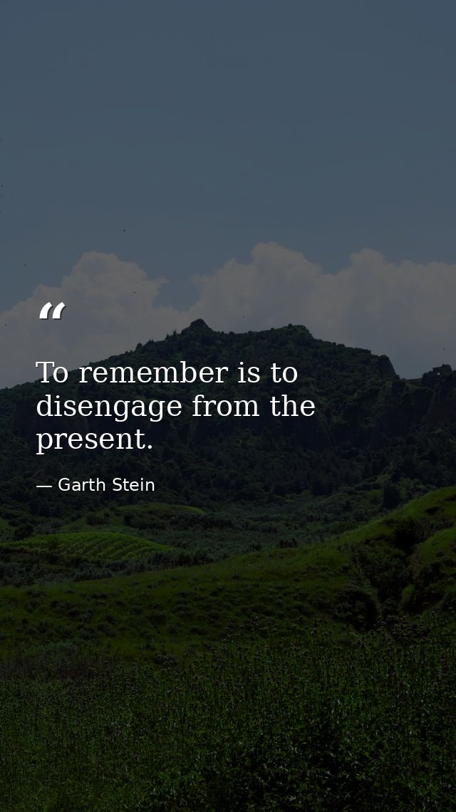 To remember is to disengage from the present. — Garth Stein