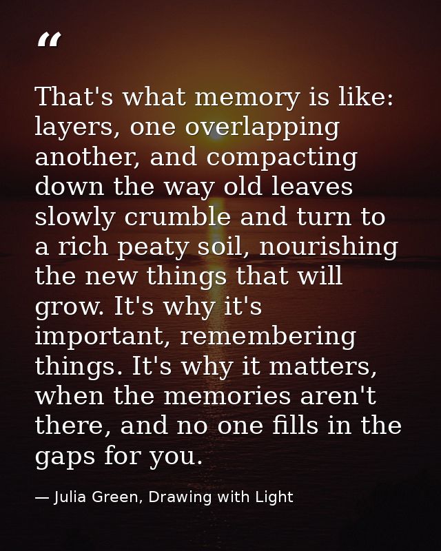 That's what memory is like: layers, one overlapping another, and compacting down the way old leaves slowly crumble and t — Julia Green, Drawing with Light