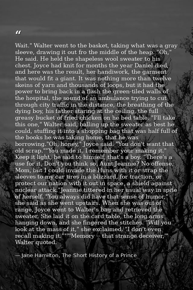 Wait." Walter went to the basket, taking what was a gray sleeve, drawing it out fro the middle of the heap. "Oh," He sai — Jane Hamilton, The Short History of a Prince