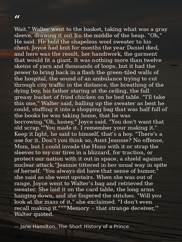 Wait." Walter went to the basket, taking what was a gray sleeve, drawing it out fro the middle of the heap. "Oh," He sai — Jane Hamilton, The Short History of a Prince