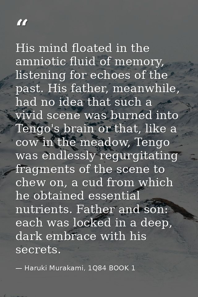 His mind floated in the amniotic fluid of memory, listening for echoes of the past. His father, meanwhile, had no idea t — Haruki Murakami, 1Q84 BOOK 1