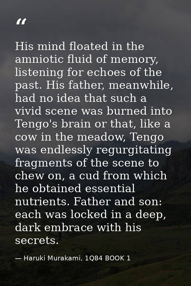 His mind floated in the amniotic fluid of memory, listening for echoes of the past. His father, meanwhile, had no idea t — Haruki Murakami, 1Q84 BOOK 1