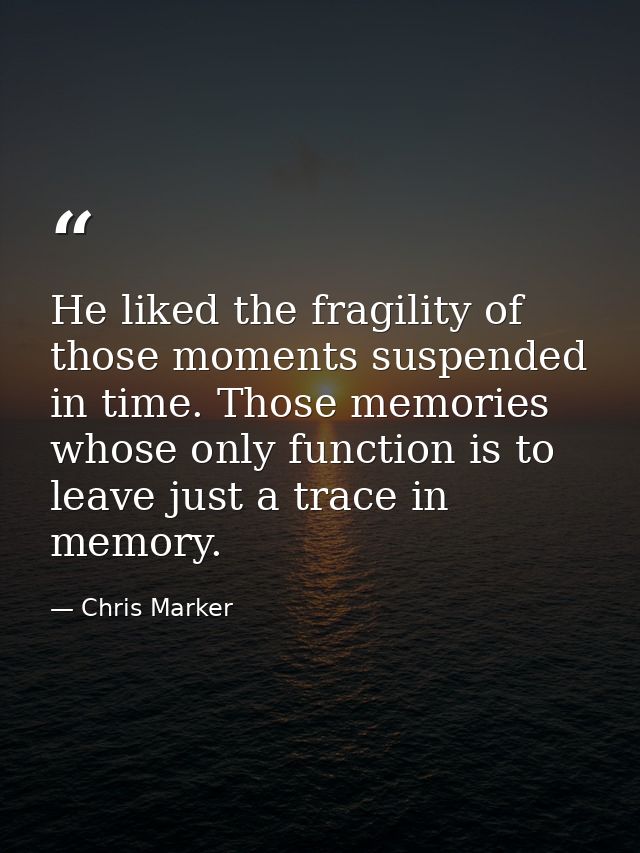 He liked the fragility of those moments suspended in time. Those memories whose only function is to leave just a trace i — Chris Marker