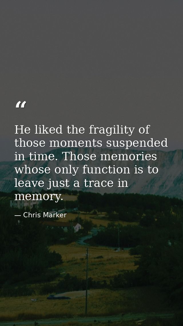 He liked the fragility of those moments suspended in time. Those memories whose only function is to leave just a trace i — Chris Marker