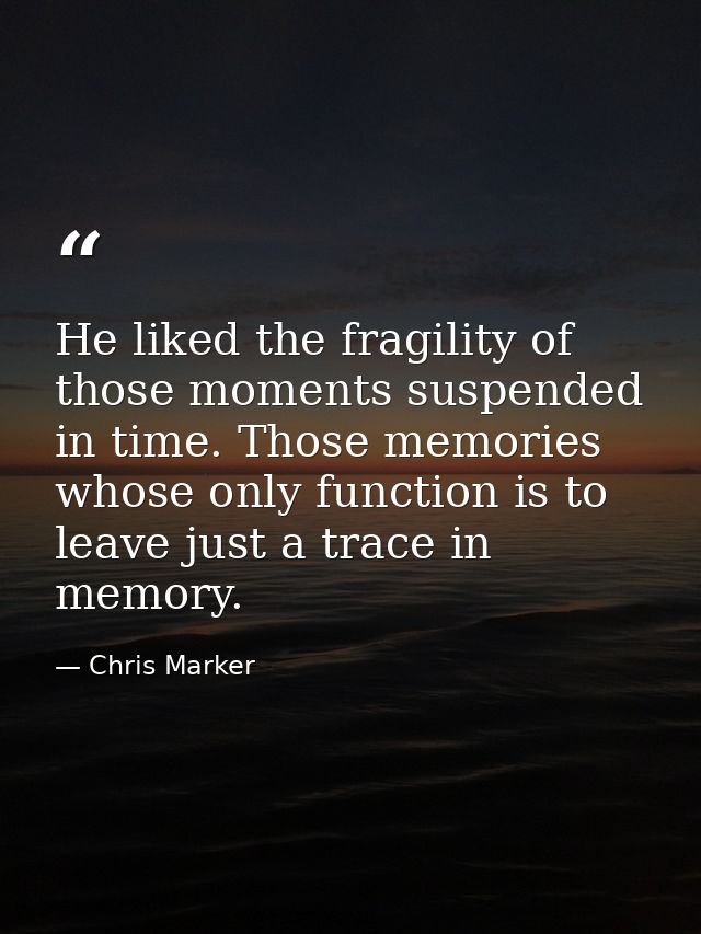 He liked the fragility of those moments suspended in time. Those memories whose only function is to leave just a trace i — Chris Marker