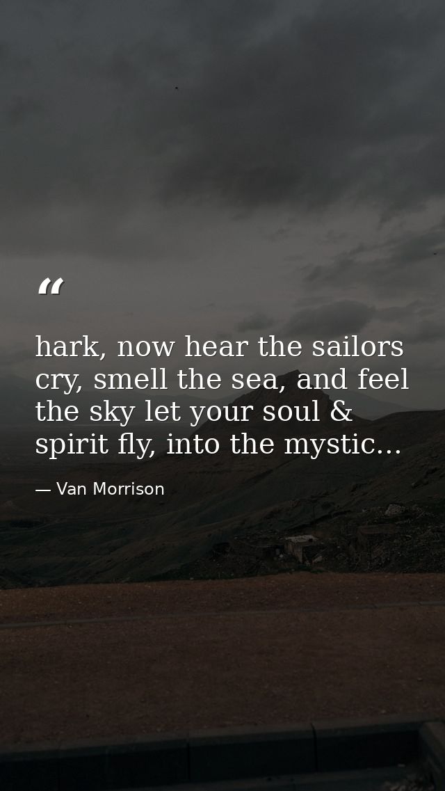 hark, now hear the sailors cry, smell the sea, and feel the sky let your soul & spirit fly, into the mystic... — Van Morrison