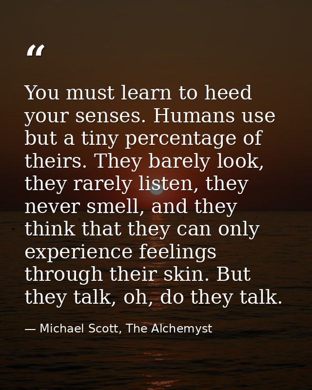 You must learn to heed your senses. Humans use but a tiny percentage of theirs. They barely look, they rarely listen, th — Michael Scott, The Alchemyst