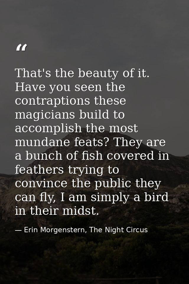 That's the beauty of it. Have you seen the contraptions these magicians build to accomplish the most mundane feats? They — Erin Morgenstern, The Night Circus