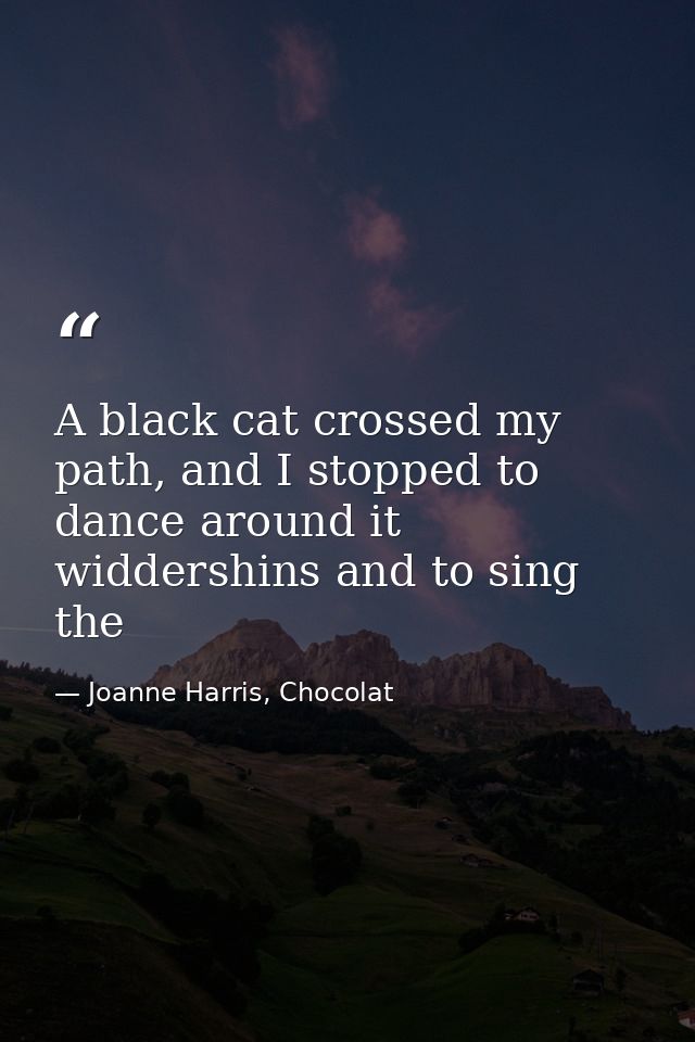 A black cat crossed my path, and I stopped to dance around it widdershins and to sing the — Joanne Harris, Chocolat