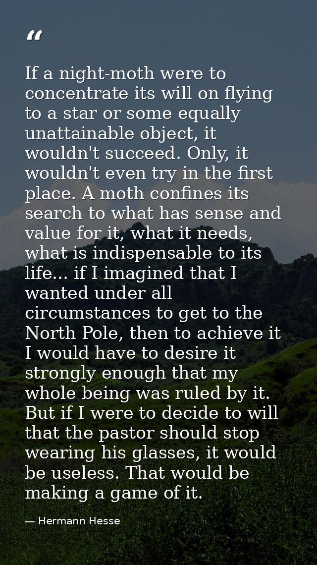 If a night-moth were to concentrate its will on flying to a star or some equally unattainable object, it wouldn't succee — Hermann Hesse