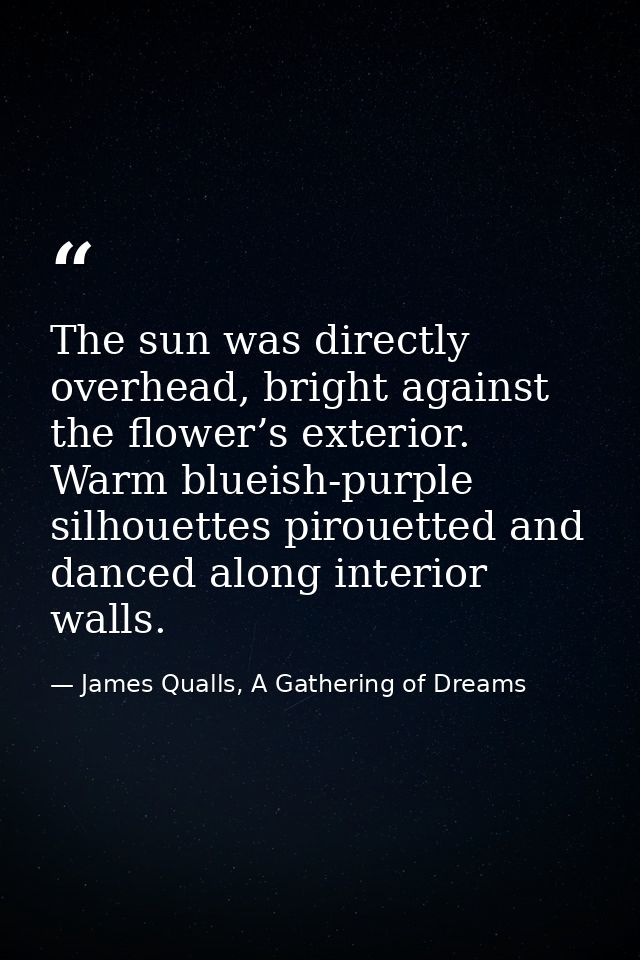 The sun was directly overhead, bright against the flower’s exterior. Warm blueish-purple silhouettes pirouetted and danc — James Qualls, A Gathering of Dreams